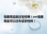情趣用品能過安檢嘛（sm情趣用品可以過車站安檢嗎）