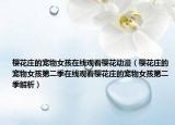 櫻花莊的寵物女孩在線觀看櫻花動漫（櫻花莊的寵物女孩第二季在線觀看櫻花莊的寵物女孩第二季解析）