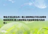 導盲犬可以摸頭嗎（路上遇到導盲犬可以投喂食物和撫摸嗎 路上遇到導盲犬能投喂食物與撫摸嗎）