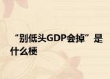 “別低頭GDP會(huì)掉”是什么梗