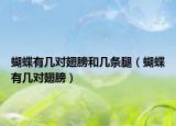 蝴蝶有幾對(duì)翅膀和幾條腿（蝴蝶有幾對(duì)翅膀）