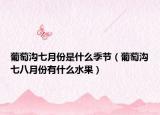 葡萄溝七月份是什么季節(jié)（葡萄溝七八月份有什么水果）