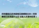 待到重陽(yáng)日還來(lái)就菊花是哪首古詩(shī)（待到重陽(yáng)日還來(lái)就什么花 過(guò)故人莊原詩(shī)欣賞）