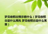 夢(mèng)見(jiàn)收稻谷預(yù)示著什么（夢(mèng)見(jiàn)收稻谷是什么預(yù)兆 夢(mèng)見(jiàn)收稻谷是什么寓意）