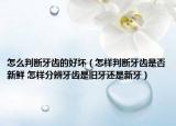 怎么判斷牙齒的好壞（怎樣判斷牙齒是否新鮮 怎樣分辨牙齒是舊牙還是新牙）