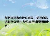 夢到自己逃亡什么意思（夢見自己逃脫什么預(yù)兆 夢見自己逃脫預(yù)示什么）