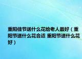 重陽(yáng)佳節(jié)送什么花給老人最好（重陽(yáng)節(jié)送什么花合適 重陽(yáng)節(jié)送什么花好）
