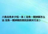六角龍魚多少錢一條（龍魚一側(cè)掉眼怎么治 龍魚一側(cè)掉眼的原因及解決方法）