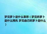 夢(mèng)見(jiàn)蘿卜是什么意思（夢(mèng)見(jiàn)吃蘿卜是什么預(yù)兆 夢(mèng)見(jiàn)自己吃蘿卜是什么）