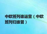 中歐班列誰運營（中歐班列歸誰管）