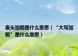 表頭加粗是什么意思（“大寫加粗”是什么意思）