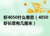 蝦4050什么意思（4050蝦長(zhǎng)度有幾厘米）