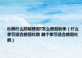 杜鵑什么時(shí)候修剪?怎么修剪秋季（什么季節(jié)適合修剪杜鵑 哪個(gè)季節(jié)適合修剪杜鵑）