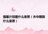 強基計劃是什么意思（水中跪族什么意思）