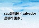 sau是哪國（salvador是哪個國家）