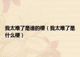 我太難了是誰(shuí)的梗（我太難了是什么梗）