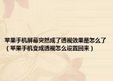 蘋果手機屏幕突然成了透視效果是怎么了（蘋果手機變成透視怎么設(shè)置回來）