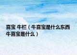 喜寶 牛欄（牛喜寶是什么東西 牛喜寶是什么）
