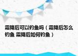 霜降后可以釣魚嗎（霜降后怎么釣魚 霜降后如何釣魚）
