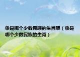 象是哪個少數(shù)民族的生肖呢（象是哪個少數(shù)民族的生肖）