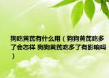 狗吃黃芪有什么用（狗狗黃芪吃多了會(huì)怎樣 狗狗黃芪吃多了有影響嗎）