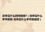 月季花什么時(shí)間剪枝?（月季花什么季節(jié)修剪 月季花什么季節(jié)剪枝好）