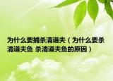 為什么要捕殺清道夫（為什么要?dú)⑶宓婪螋~ 殺清道夫魚的原因）