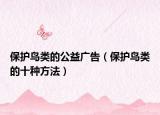 保護鳥類的公益廣告（保護鳥類的十種方法）