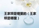 王家壩是哪里的（王家壩是哪里）