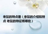 老鼠的特點是（老鼠的介紹和特點 老鼠的特征有哪些）