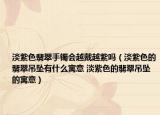 淡紫色翡翠手鐲會越戴越紫嗎（淡紫色的翡翠吊墜有什么寓意 淡紫色的翡翠吊墜的寓意）