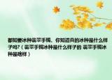 都知要冰種翡翠手鐲、你知道真的冰種是什么樣子嗎?（翡翠手鐲冰種是什么樣子的 翡翠手鐲冰種是啥樣）
