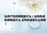 臺風(fēng)產(chǎn)生的原因是什么（臺風(fēng)形成的原因是什么 臺風(fēng)形成是什么原因）