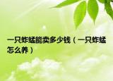 一只蚱蜢能賣多少錢（一只蚱蜢怎么養(yǎng)）