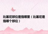 比基尼部位是指哪里（比基尼是指哪個(gè)部位）