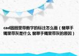 cad圓圈里帶數(shù)字的標(biāo)注怎么畫(huà)（翡翠手鐲里帶灰是什么 翡翠手鐲里帶灰的原因）