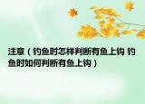 注意（釣魚時怎樣判斷有魚上鉤 釣魚時如何判斷有魚上鉤）