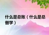什么是總賬（什么是總督學(xué)）
