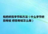 枇杷修剪季節(jié)和方法（什么季節(jié)修剪老樁 修剪老樁怎么做）
