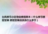 臺(tái)風(fēng)季節(jié)小區(qū)物業(yè)修剪樹(shù)木（什么季節(jié)修剪堅(jiān)果 修剪堅(jiān)果應(yīng)該選什么季節(jié)）