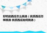 好吃的西瓜怎么挑選（優(yōu)質(zhì)西瓜怎樣挑選 優(yōu)質(zhì)西瓜如何挑選）