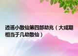 逍遙小散仙第四部劫兆（大成期相當于幾劫散仙）