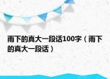 雨下的真大一段話100字（雨下的真大一段話）