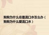 狗狗為什么總是流口水怎么辦（狗狗為什么愛流口水）