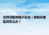 怎樣訓練狗狗不亂叫（狗狗總是亂叫怎么辦）