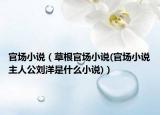 官場小說（草根官場小說(官場小說主人公劉洋是什么小說)）
