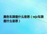 黑色車牌是什么意思（wjz車牌是什么意思）