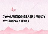 為什么貓喜歡被別人摸（貓咪為什么喜歡被人撫摸）