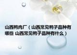 山西鴨肉廠（山西常見(jiàn)鴨子品種有哪些 山西常見(jiàn)鴨子品種有什么）