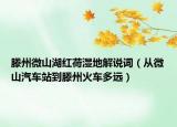 滕州微山湖紅荷濕地解說(shuō)詞（從微山汽車(chē)站到滕州火車(chē)多遠(yuǎn)）